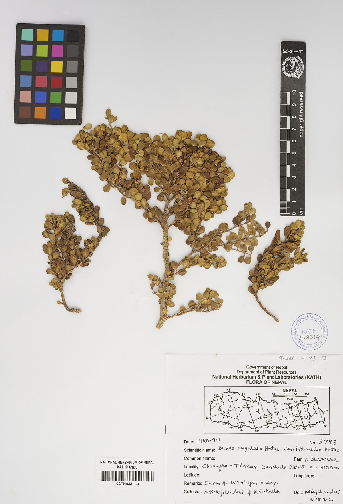 Plant Database System Herbarium And Plant Laboratories Kath