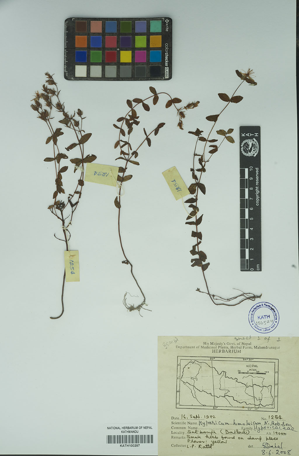 Plant Database System Herbarium And Plant Laboratories Kath